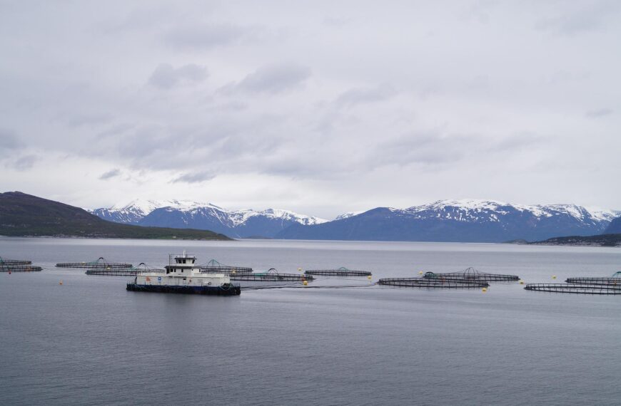 So Long to Open-Net-Pen Salmon Farms?