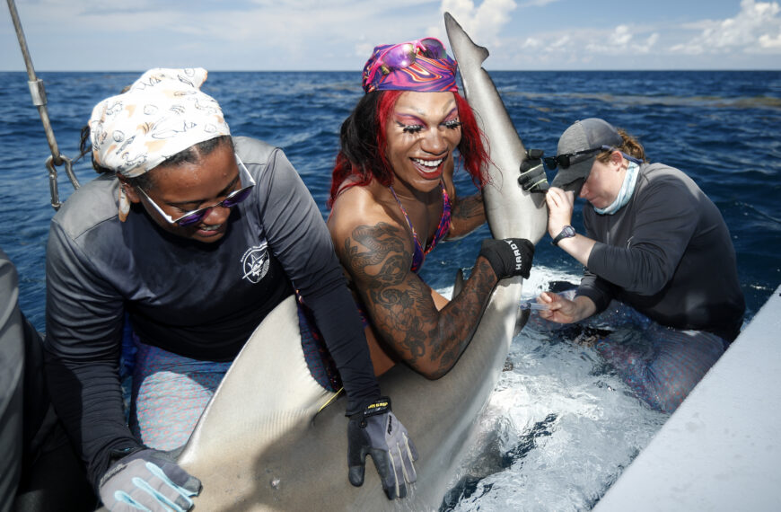 Drag Queens Tag Sharks in Annual Florida Science Celebration