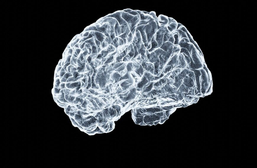 Study finds no evidence of mystery brain disease in New Brunswick