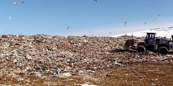 N.B. RSCs concerned about province’s plans for organic waste