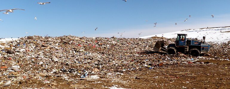 N.B. RSCs concerned about province’s plans for organic waste