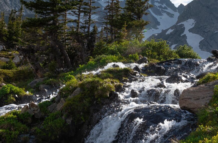 Drought paradox study reveals plants around Colorado River turn to groundwater when it gets too hot and dry, reducing flow into the already strained basin