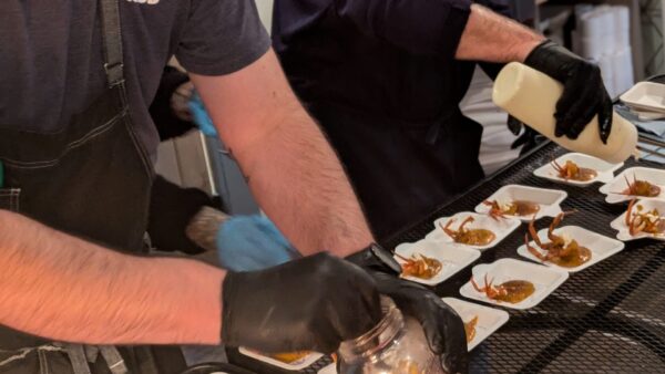 From invasive species to fine dining: Green crabs hit the menu